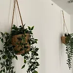 Symbiose-ferienwohnung