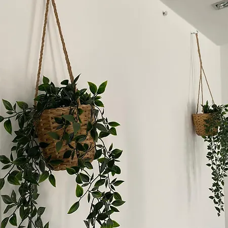 Symbiose-ferienwohnung